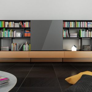B and B bookcase 1 with books