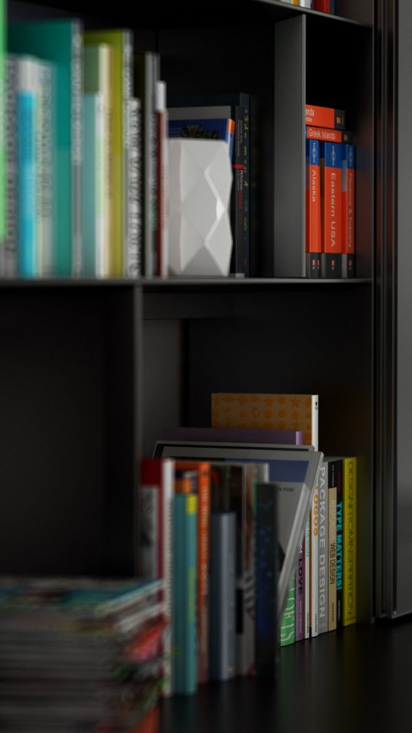 B and B bookcase 1 with books