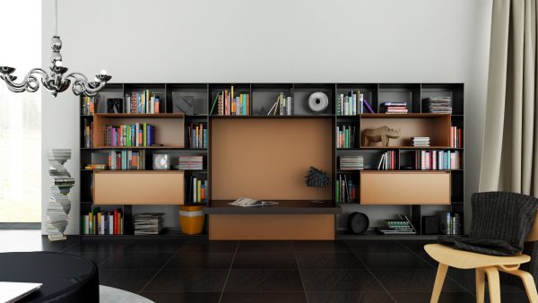 B and B Bookcase