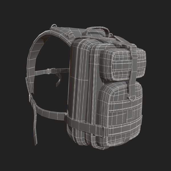 Backpack military