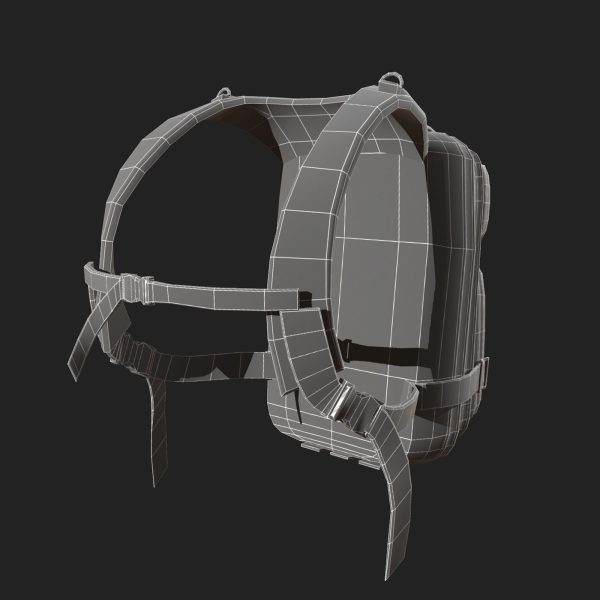 Backpack military