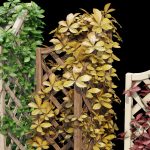 Bahpaud vertical garden planter
