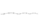 Barbed Wire