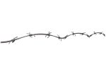 Barbed Wire