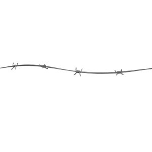 Barbed Wire