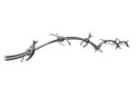 Barbed Wire