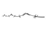 Barbed Wire