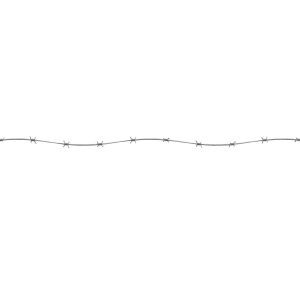 barbed-wire-3d-model-e8a5907441