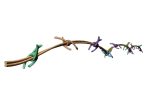 Barbed Wire