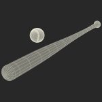 Baseball and Wooden Baseball Bat