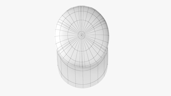 Baseball Cap PBR