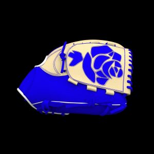 Baseball Glove Customisable