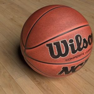 Basketball wilson