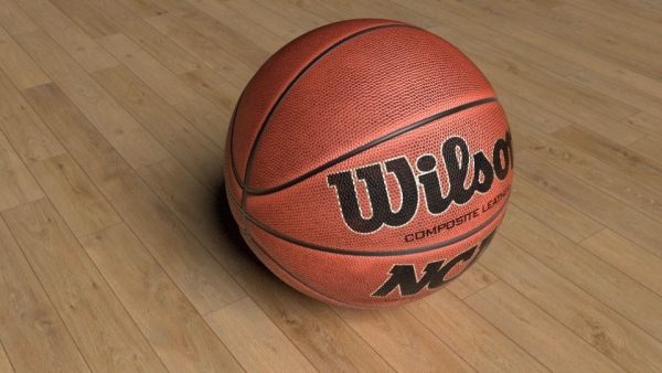 Basketball wilson