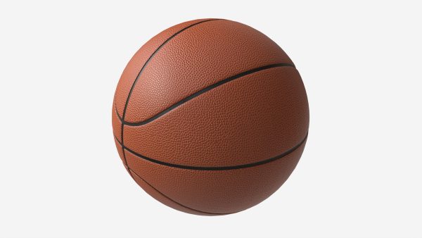 Basketball Official Game Ball Wilson