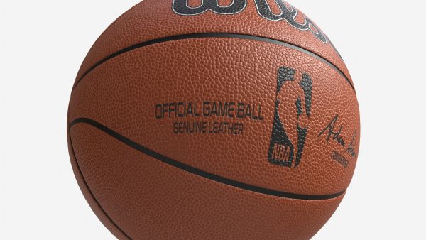Basketball Official Game Ball Wilson