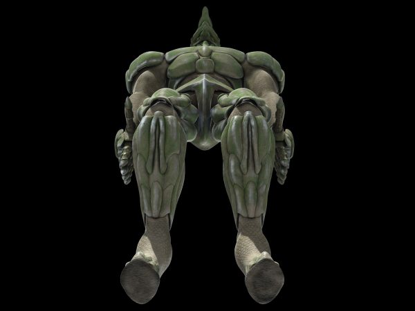 Battle robot
