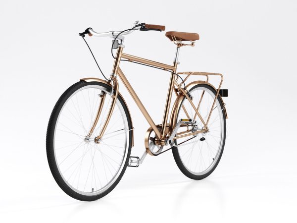 Bike Vintage Roadster