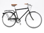 Bike Vintage Roadster