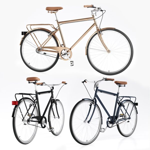 Bike Vintage Roadster