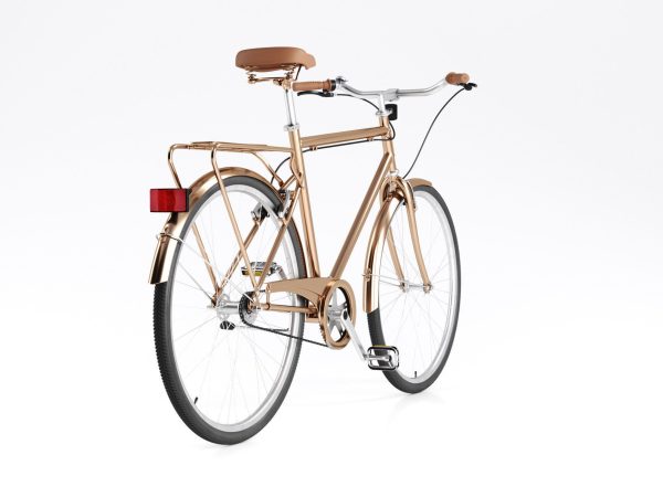 Bike Vintage Roadster
