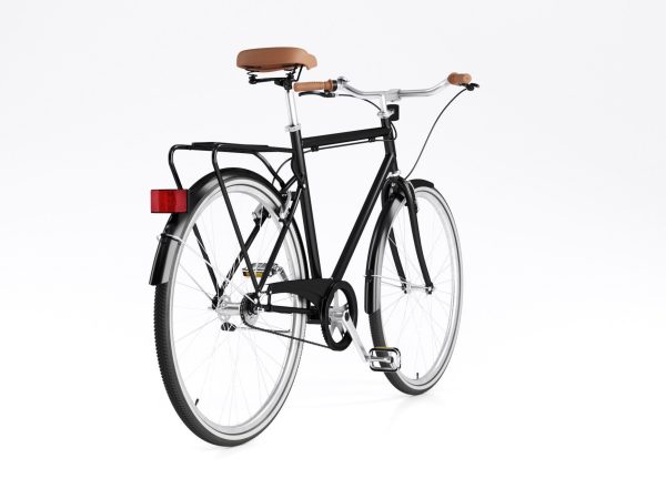 Bike Vintage Roadster