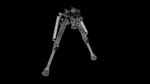Bipods bipod
