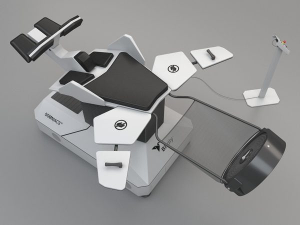 Birdly Simulator