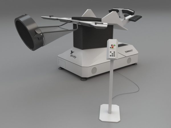 Birdly Simulator