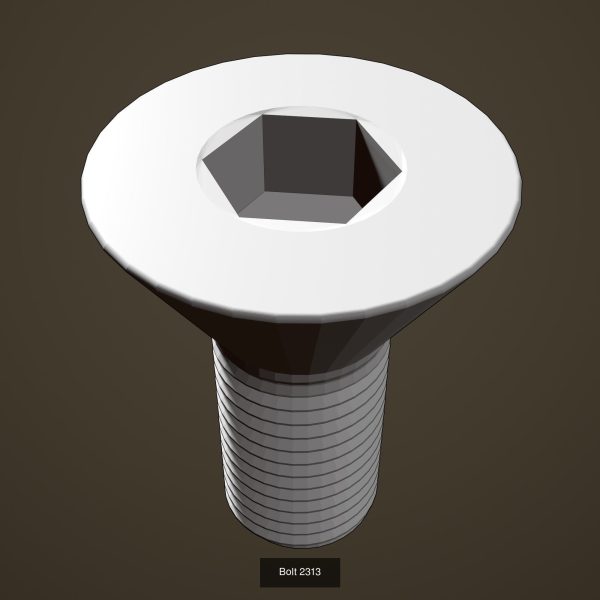 Bolt set