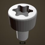 Bolt set