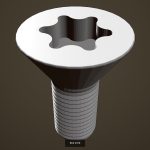Bolt set