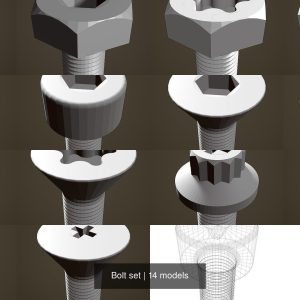 Bolt set