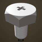 Bolt set