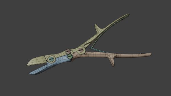 Bone cutter forceps 3D model