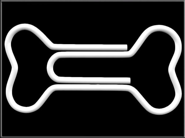 Bone Paper Clip