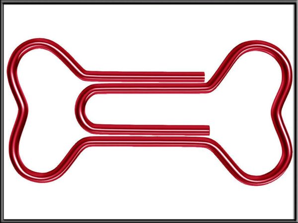 Bone Paper Clip