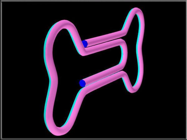 Bone Paper Clip