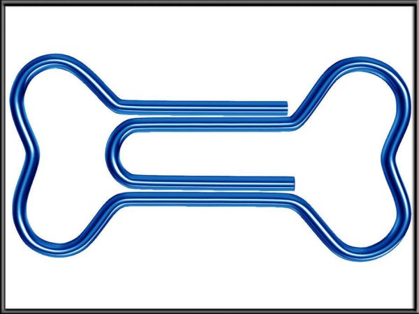 Bone Paper Clip