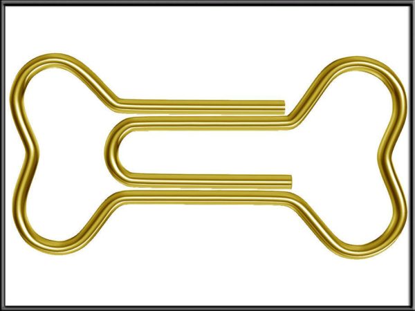 Bone Paper Clip