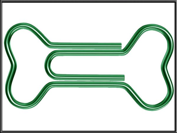 Bone Paper Clip