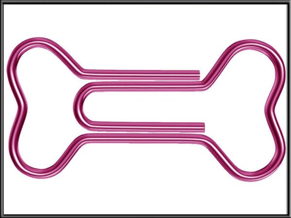 Bone Paper Clip