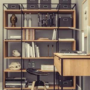 book-shelf-3d-model-max-3ds-fbx-mxs