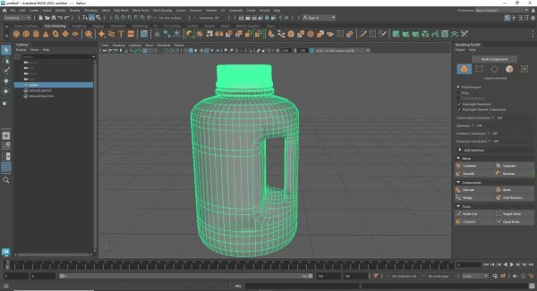 Bottle