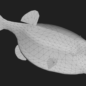 boxfish-3d-model-60d0fa198a