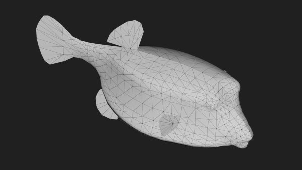 Boxfish