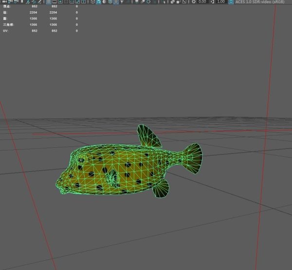 Boxfish