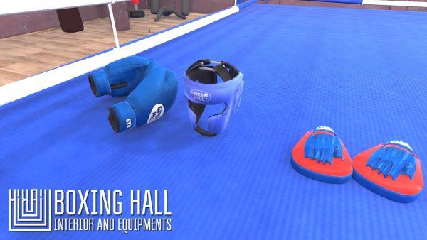 Boxing hall - interior and equipments