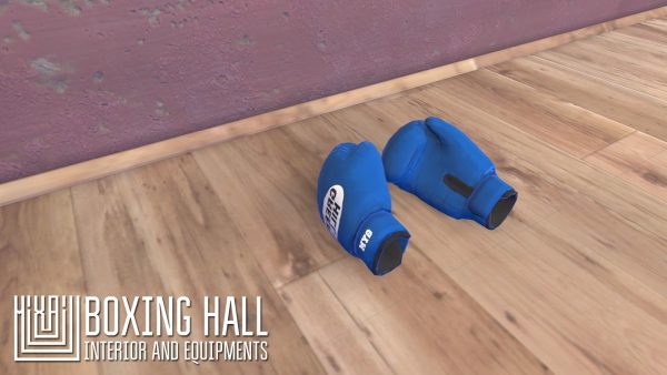 Boxing hall - interior and equipments