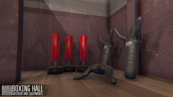 Boxing hall - interior and equipments